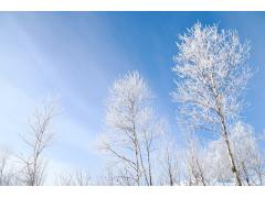 ☆嬉しい登録特典♪新規登録キャンペーン実施中☆北海道東部エリアのトラベルナース求人！高時給2600円☆家賃無料、水道光熱費無料☆